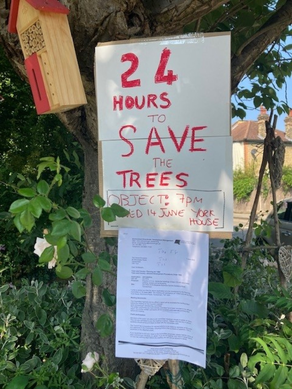 Local children have place placards and banners on the trees.