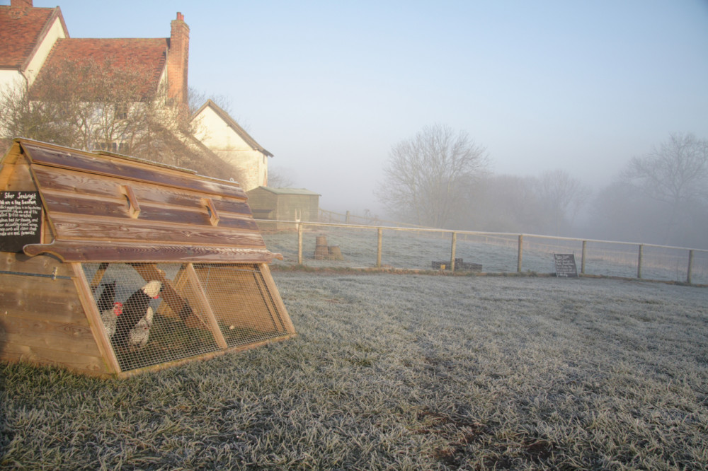 Jimmy's Farm suffered burglary (Picture: Nub News)