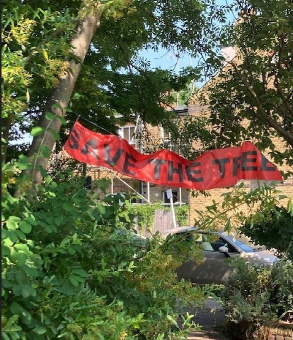 The developers behind plans to build three luxury homes on a site in Twickenham have responded to concerns about a loss of protected trees.