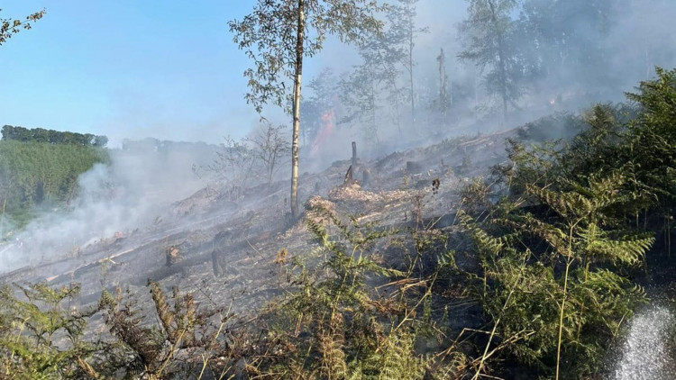 The fire involved planted timber and bracken at Bovey Down near Beer (Axminster Fire Station)