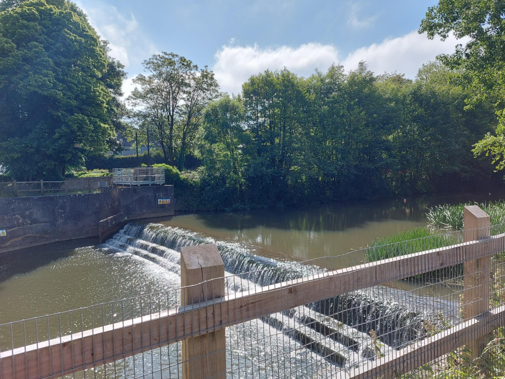 Down by Welshpool on the River Frome June 3