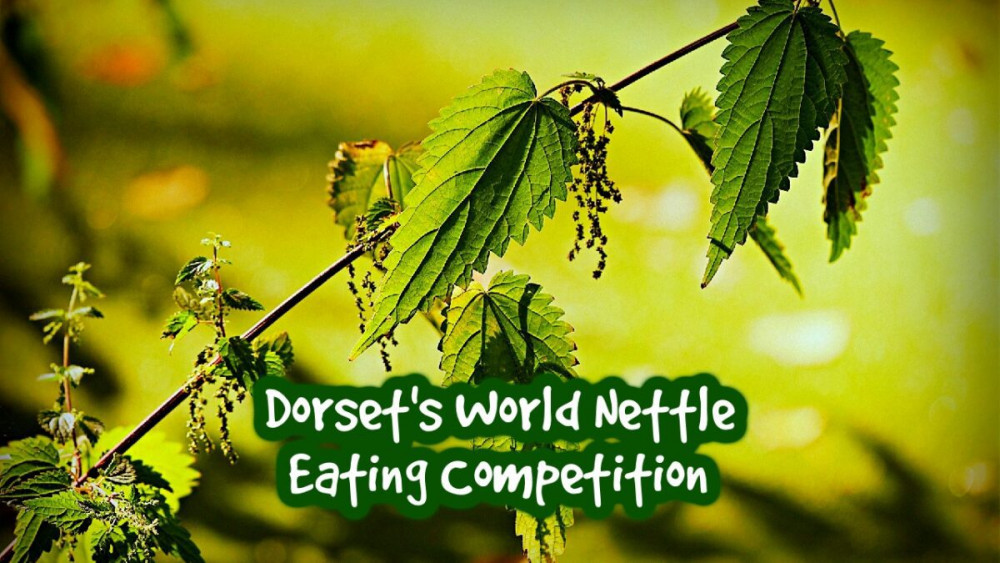 World Nettle Eating Championship