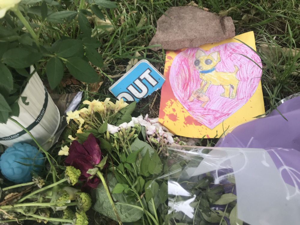 A small memorial including flowers and cards has been created at the Mill Road entrance to the park, which is close to the spot where Yoda was killed.