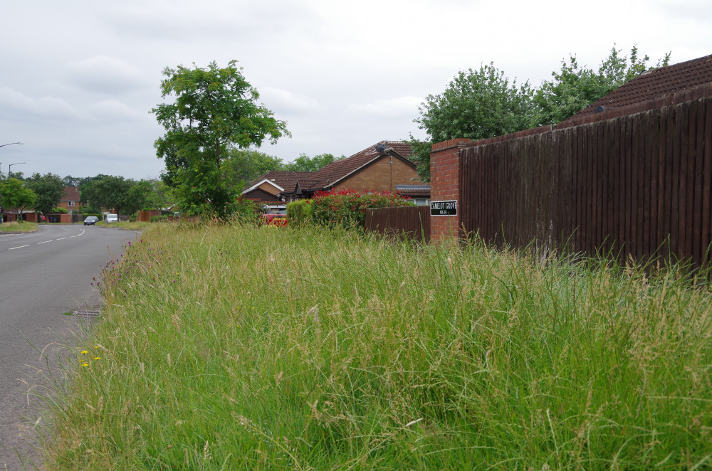 Warwick District Council said its contractors have been abused by locals disgruntled about the uncut verges (image by James Smith)