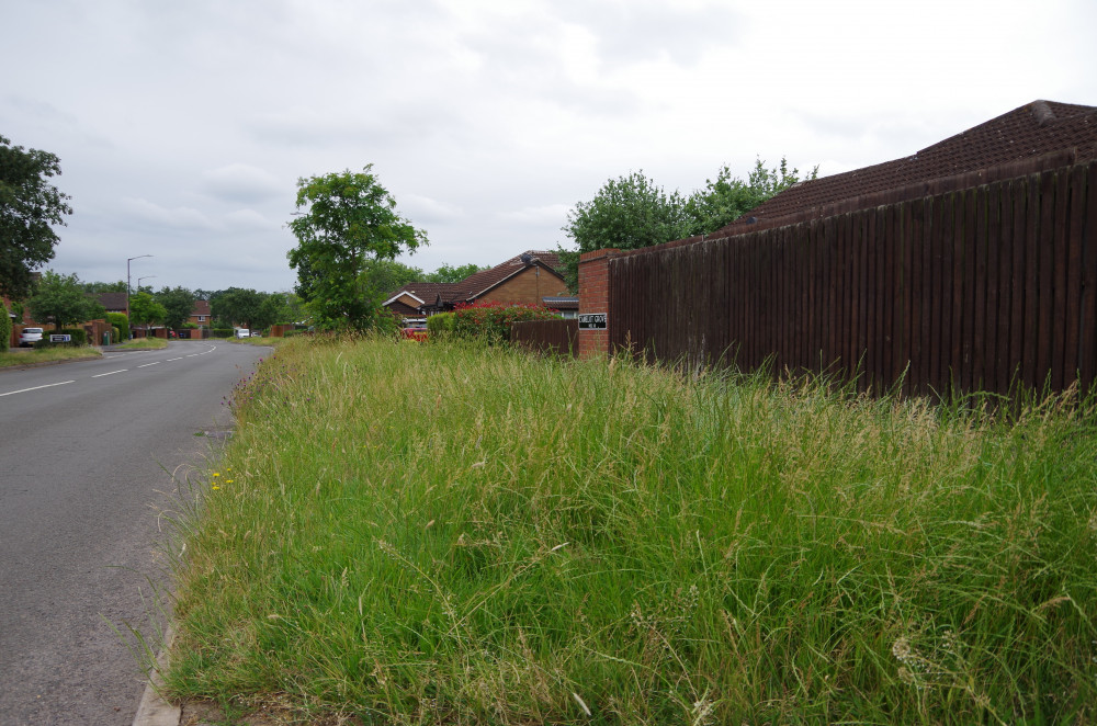 Warwick District Council said its contractors have been abused by locals disgruntled about the uncut verges (image by James Smith)