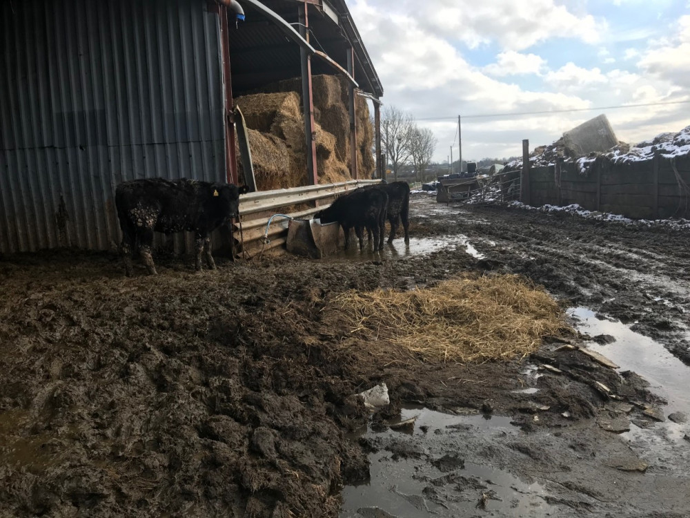 Investigators found muck was up to three feet deep at the Hunnigham farm (image by Warwickshire County Council)