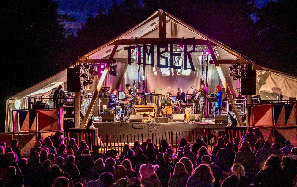 The Timber Festival is at Feanedock Woodland in the National Forest, Moira, near Ashby de la Zouch. Photo: Andrew Allcock