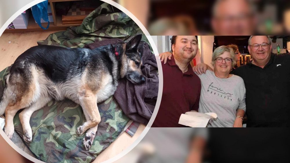 The Hedgecock family has not seen their German Shepherd since Tuesday. (Photos: Jillian Hedgecock and GoFundMe)