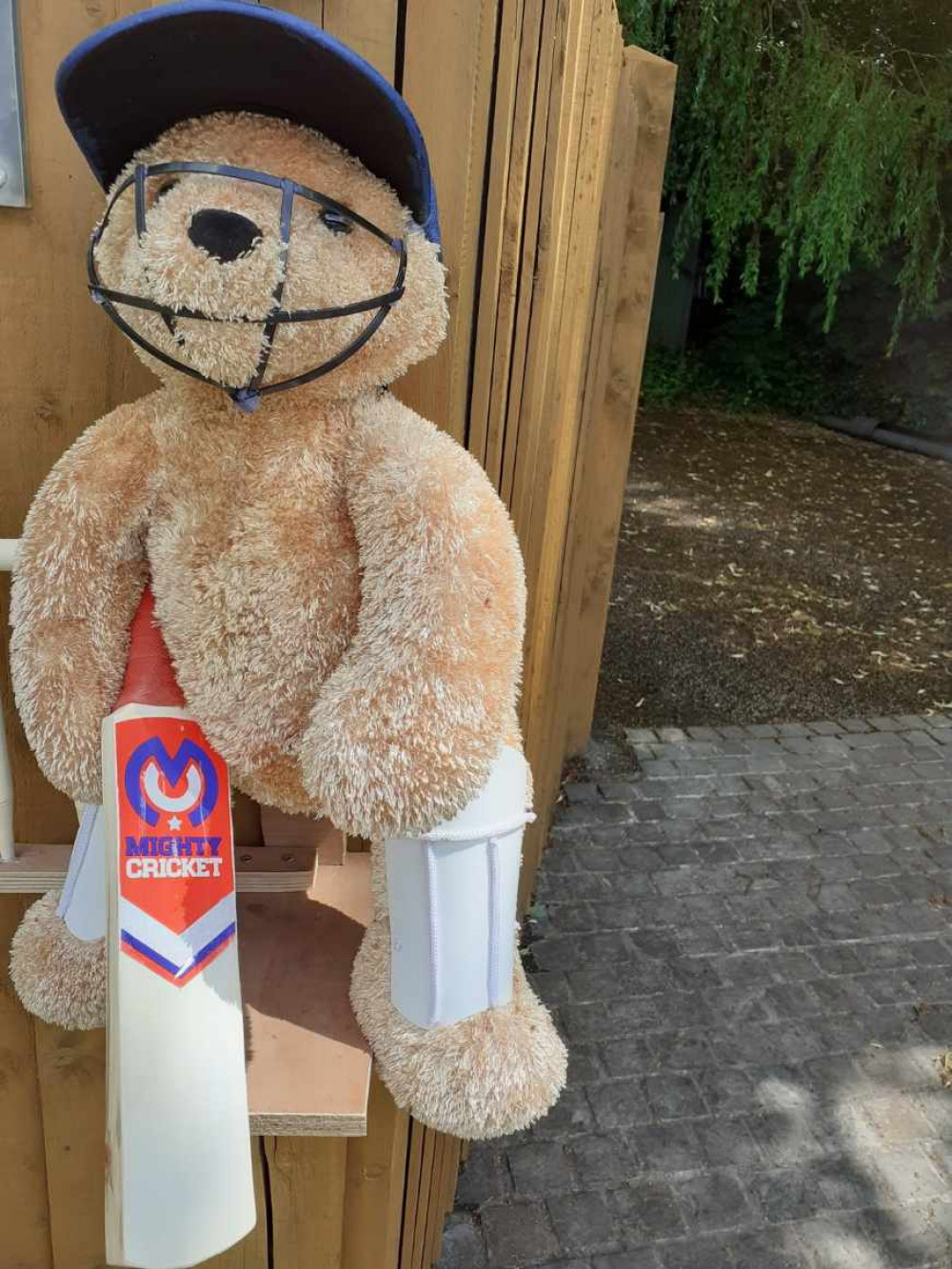 Anyone for cricket? Brereton Bear Festival's sport bear. (Deborah Bowyer/Sandbach Nub News)  