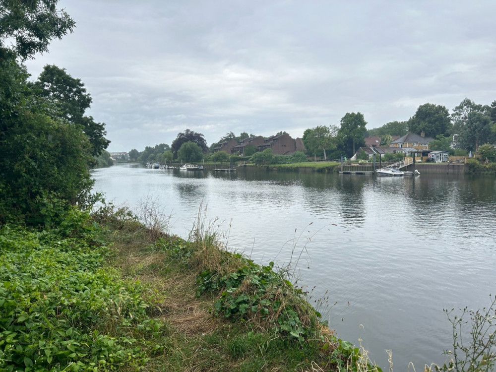 The River Thames near Ham Lands (image by Charlotte Lilywhite)