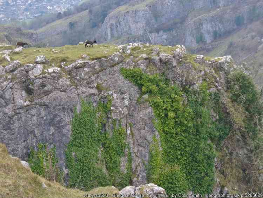 Cheddar Gorge is one of the many attractions in the village
