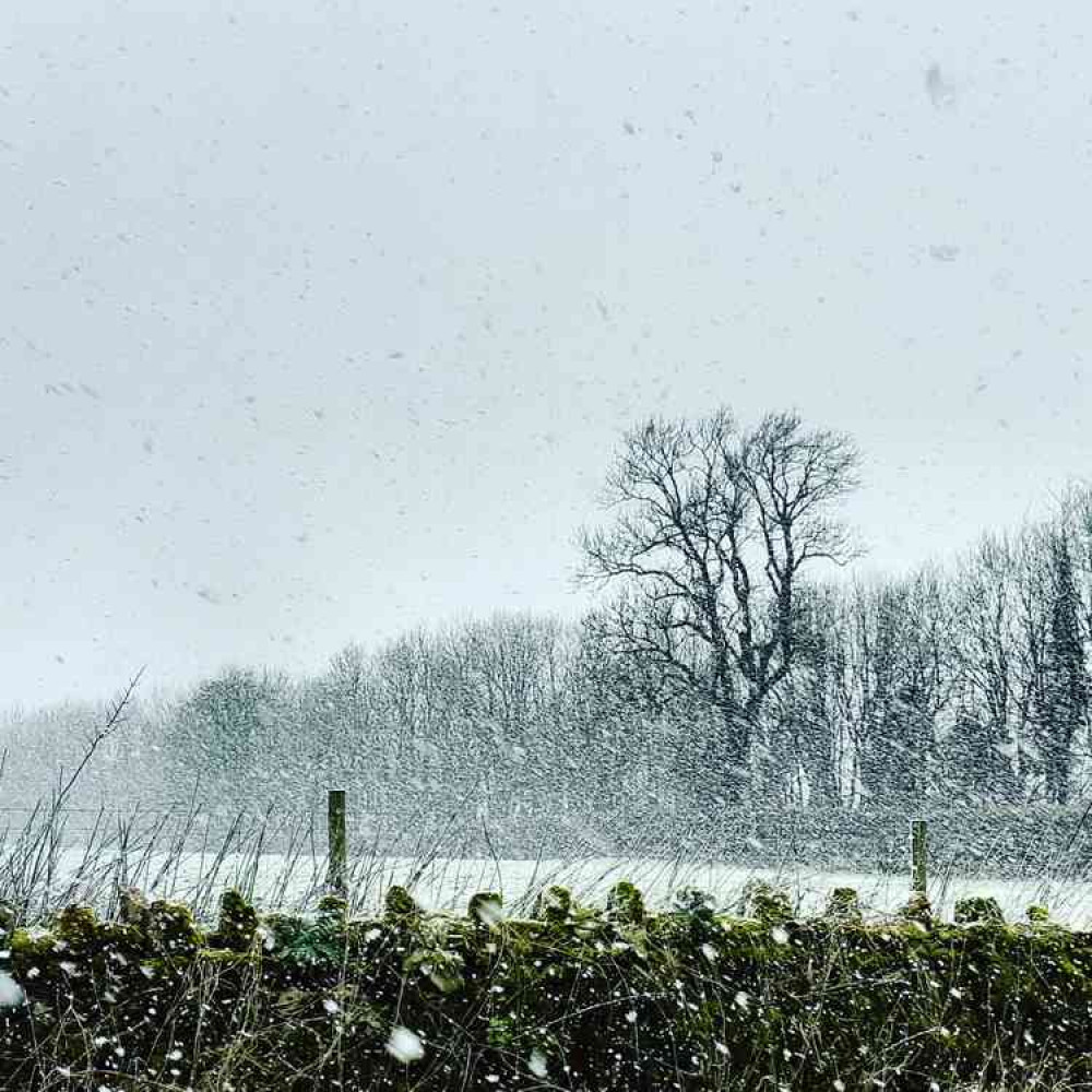Snow falling this afternoon in Charterhouse (Photo: Mendip Hills AONB)