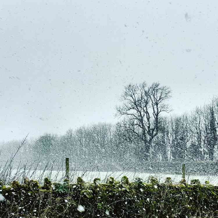 Snow falling this afternoon in Charterhouse (Photo: Mendip Hills AONB)