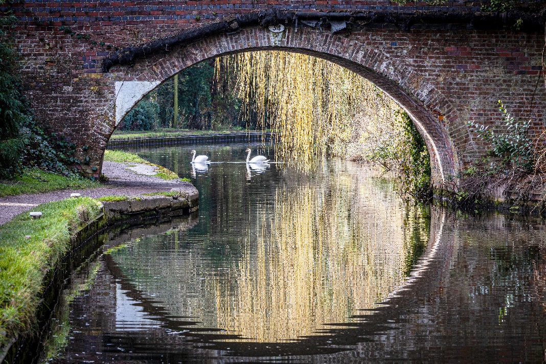 Nominated - Bridge 34 in Lapworth by Damien