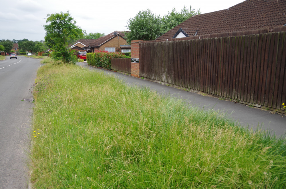 So far WDC has tended to 75 per cent of the grass verges in Kenilworth (image by James Smith)