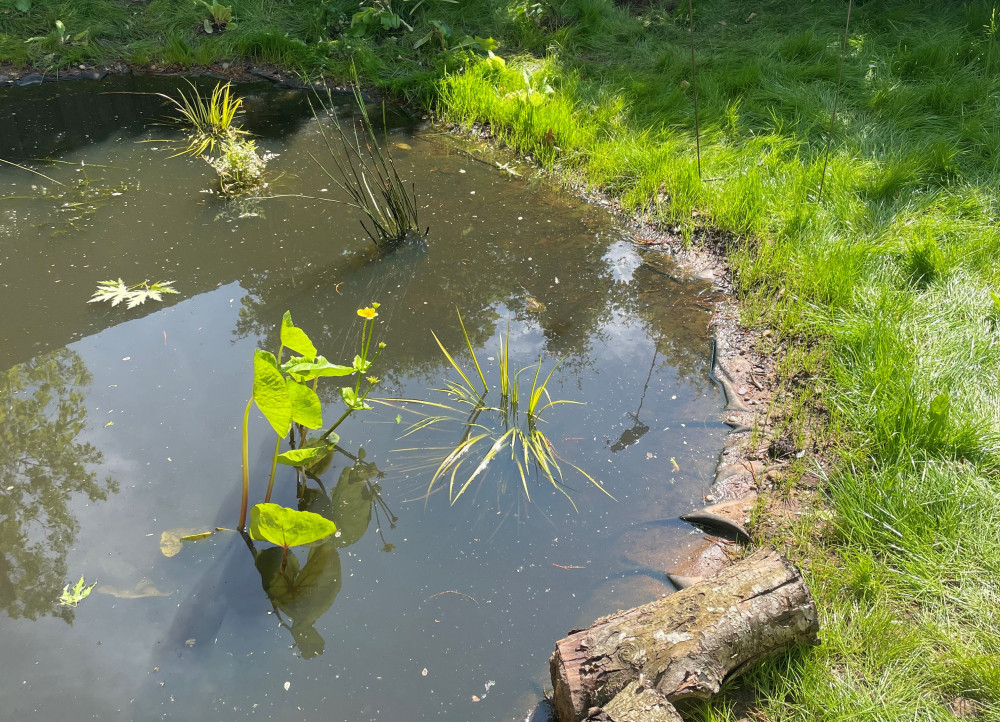 Funding has come from Warwickshire County Council's green shoots community climate change fund (image via WCC)