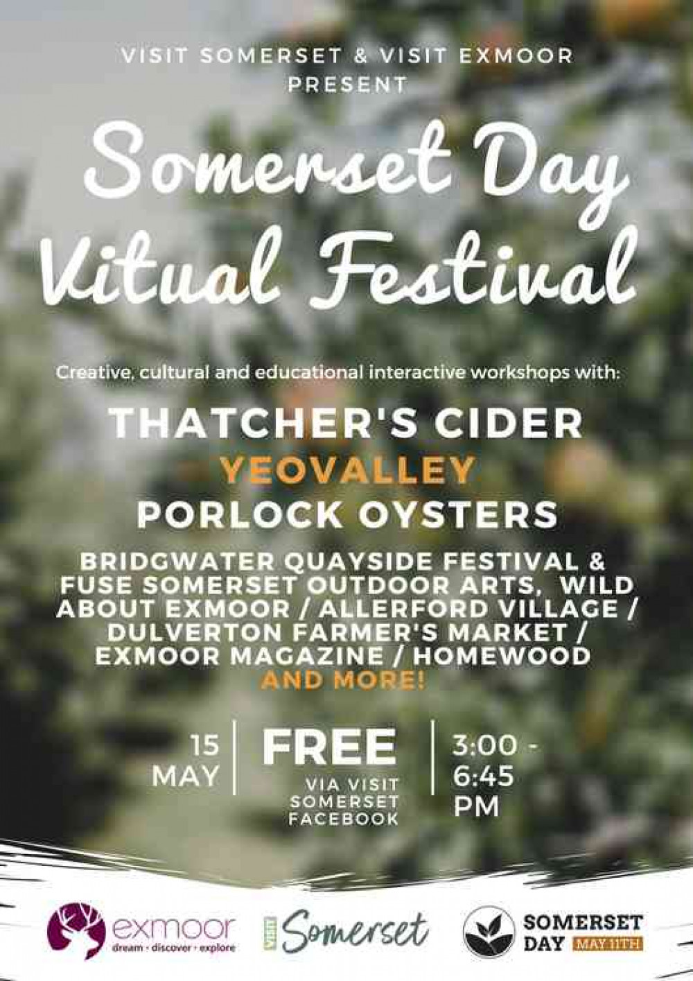 The Somerset Day Virtual Festival line-up