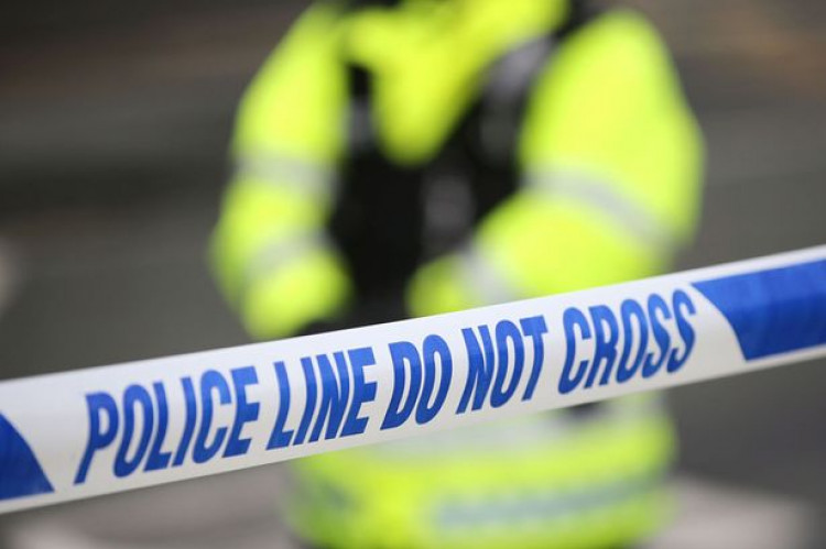 Police are appealing for witnesses following the fatal collision on the A35