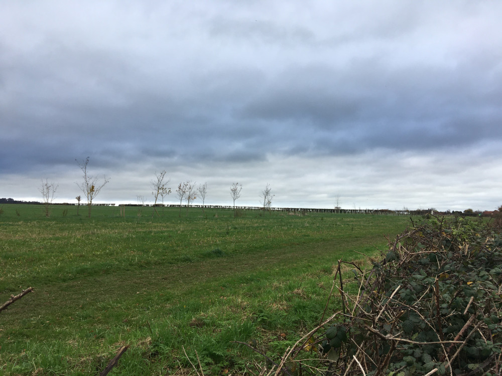 Site Of The Proposed Somerset Wood, Seen From The A3259 Yallands Hill Near Monkton Heathfield (2) Daniel Mumby 171120