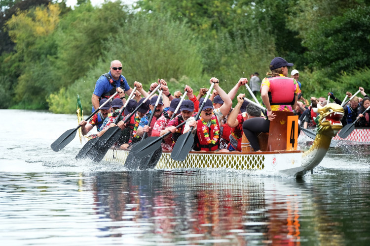 The Warwick Dragon Boat Festival will return on September 24 (image via Gecko Photography)