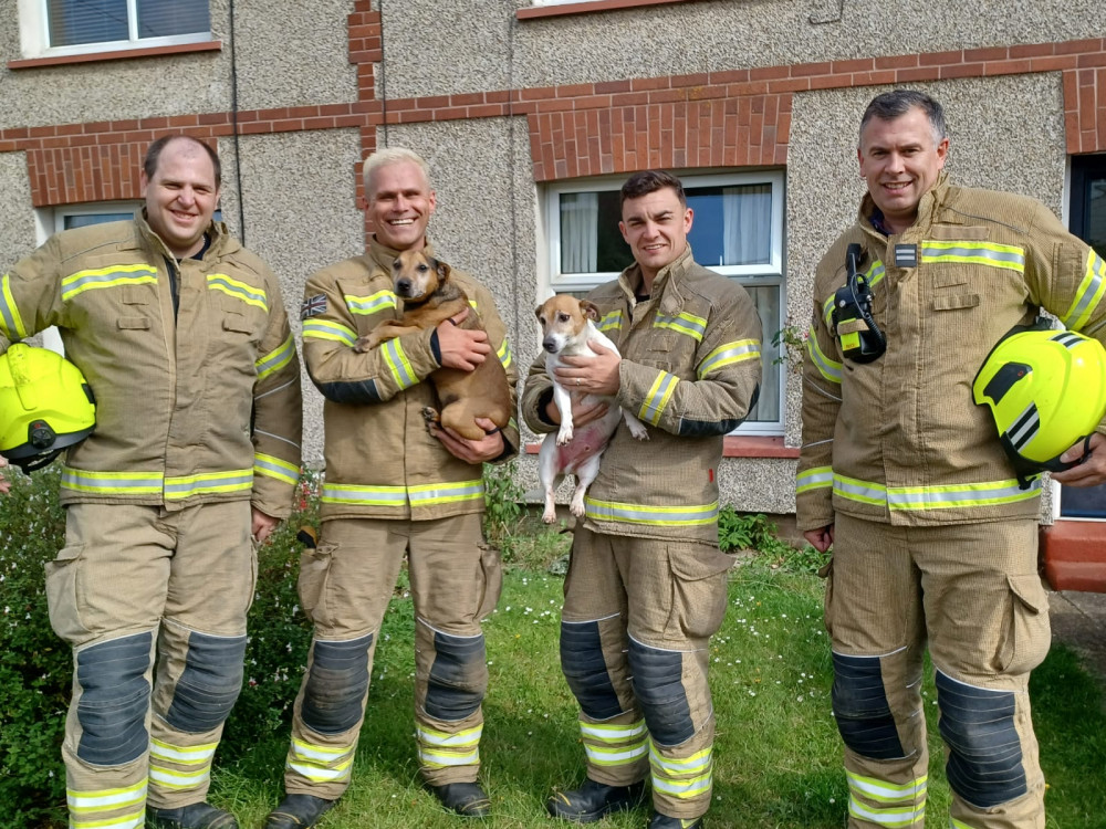 Firefighters with Alfie and Belle after their rescue