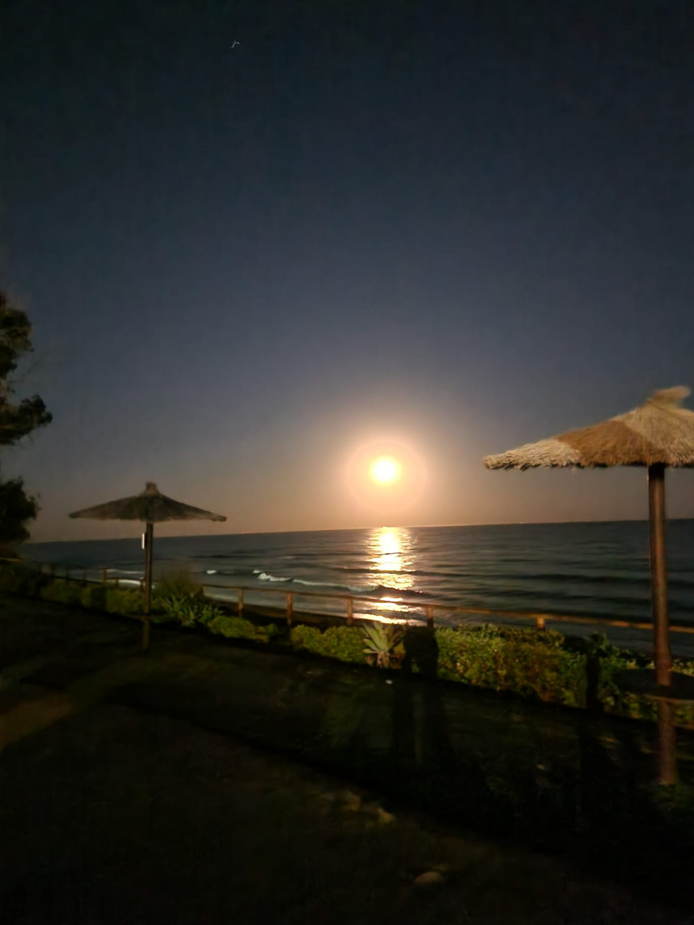 Photo of the supermoon in Malaga : Frantiska Polakova 