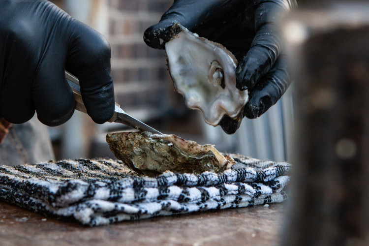 Celebrate National Oyster Day on 5 August at The Wharf. (Photo:  Unsplash/Thomas John)