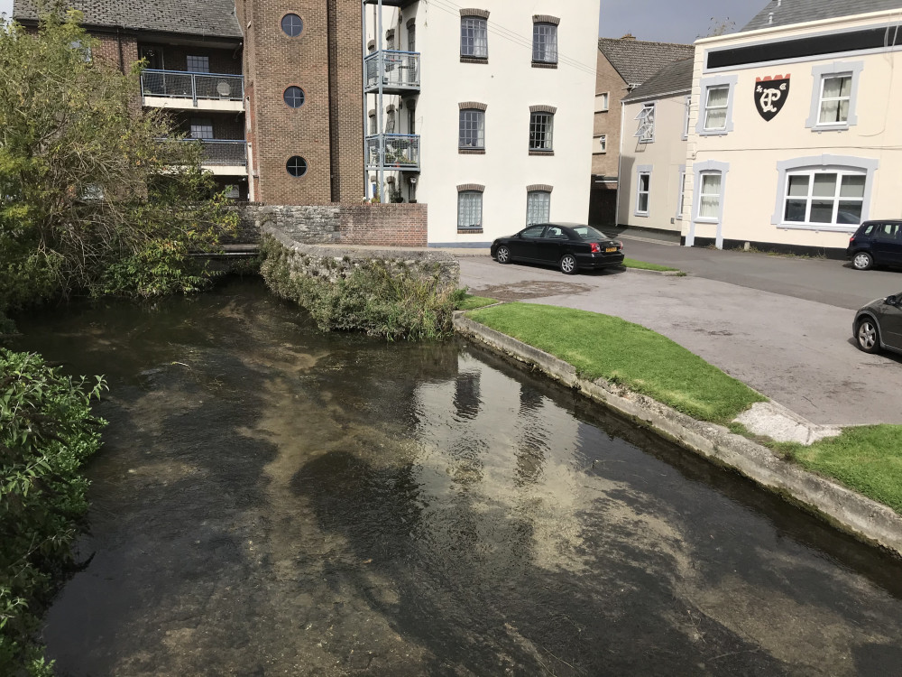 Lubbecke Way and the Mill Stream area where duck attacks have taken place