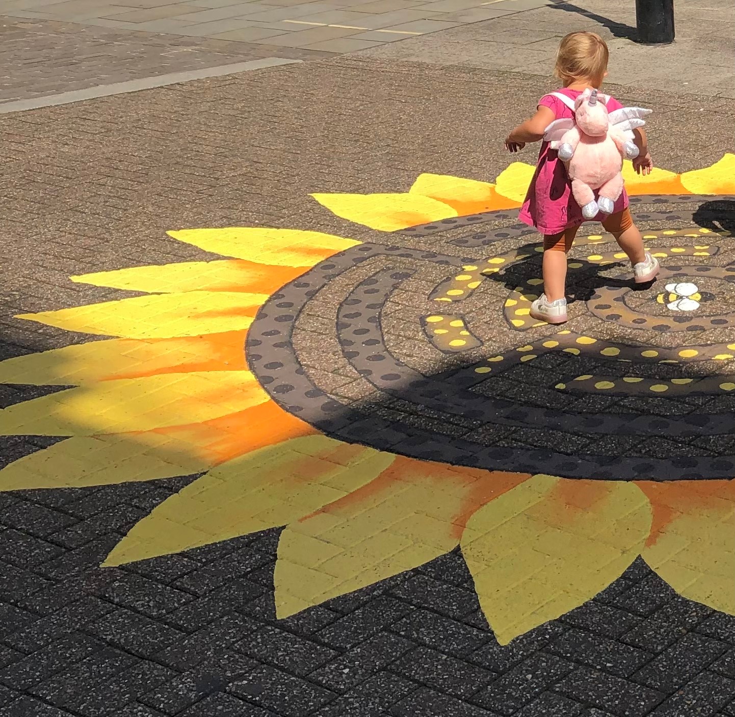 Sunflowers are adorning Dorchester town centre this summer