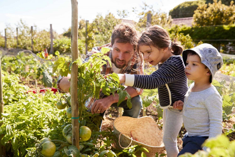 A local care provider is backing National Allotments Week. Image credit: Bluebird Care. 