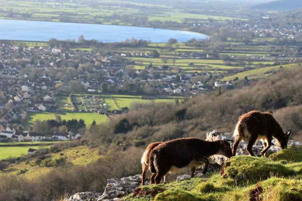 Jobs are available in the Cheddar area (Photo: Craig Hooper)