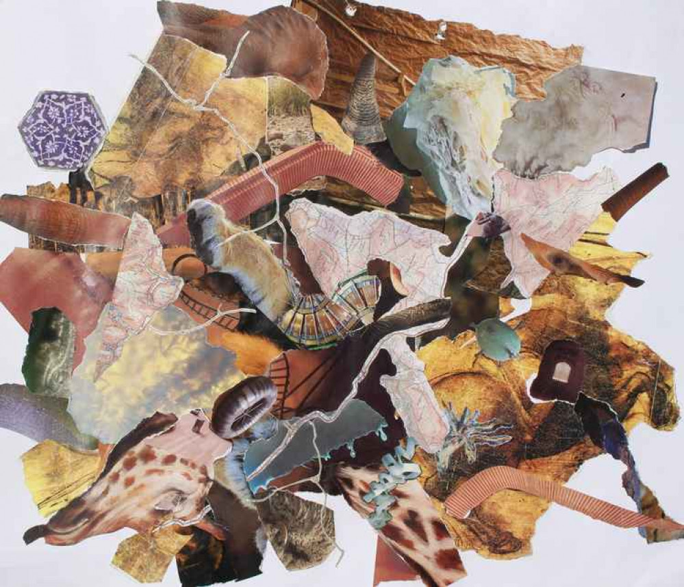 Fiona Campbell's collage Life in the Undergrowth