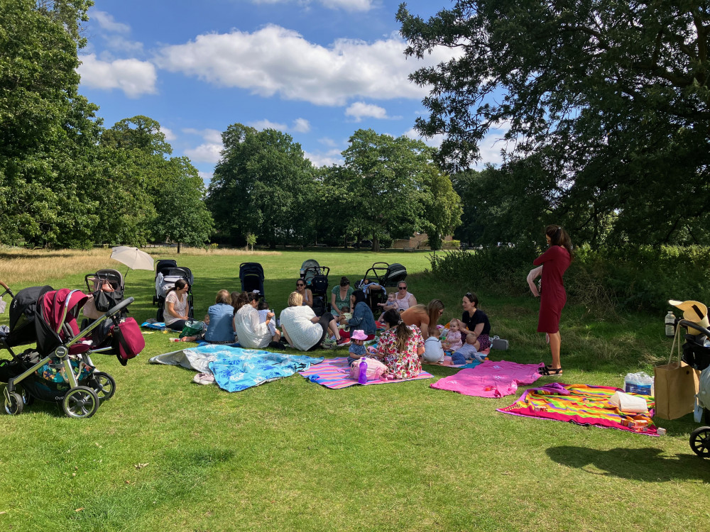 Mums enjoy a picnic social in the park. (Photo: BusyLizzy Richmond)