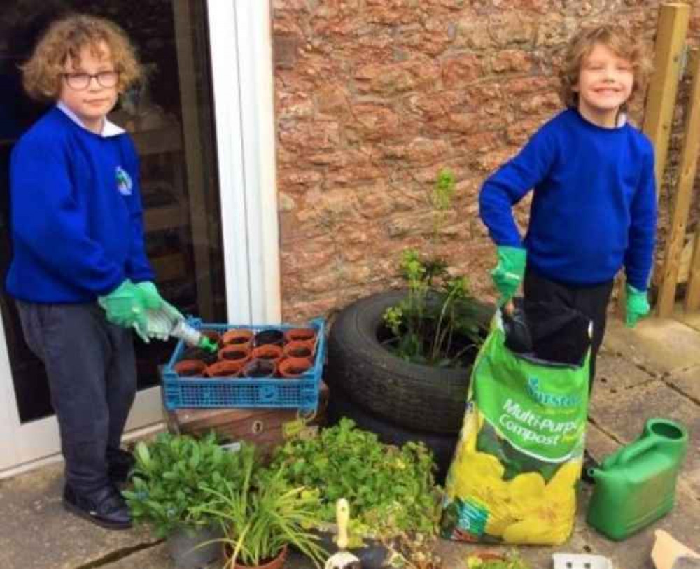 Planting at Draycott and Rodney Stoke First School