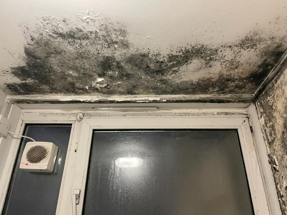 Warwick District Council says it does not want its tenants to feel blamed for reporting mould (image via SWNS)