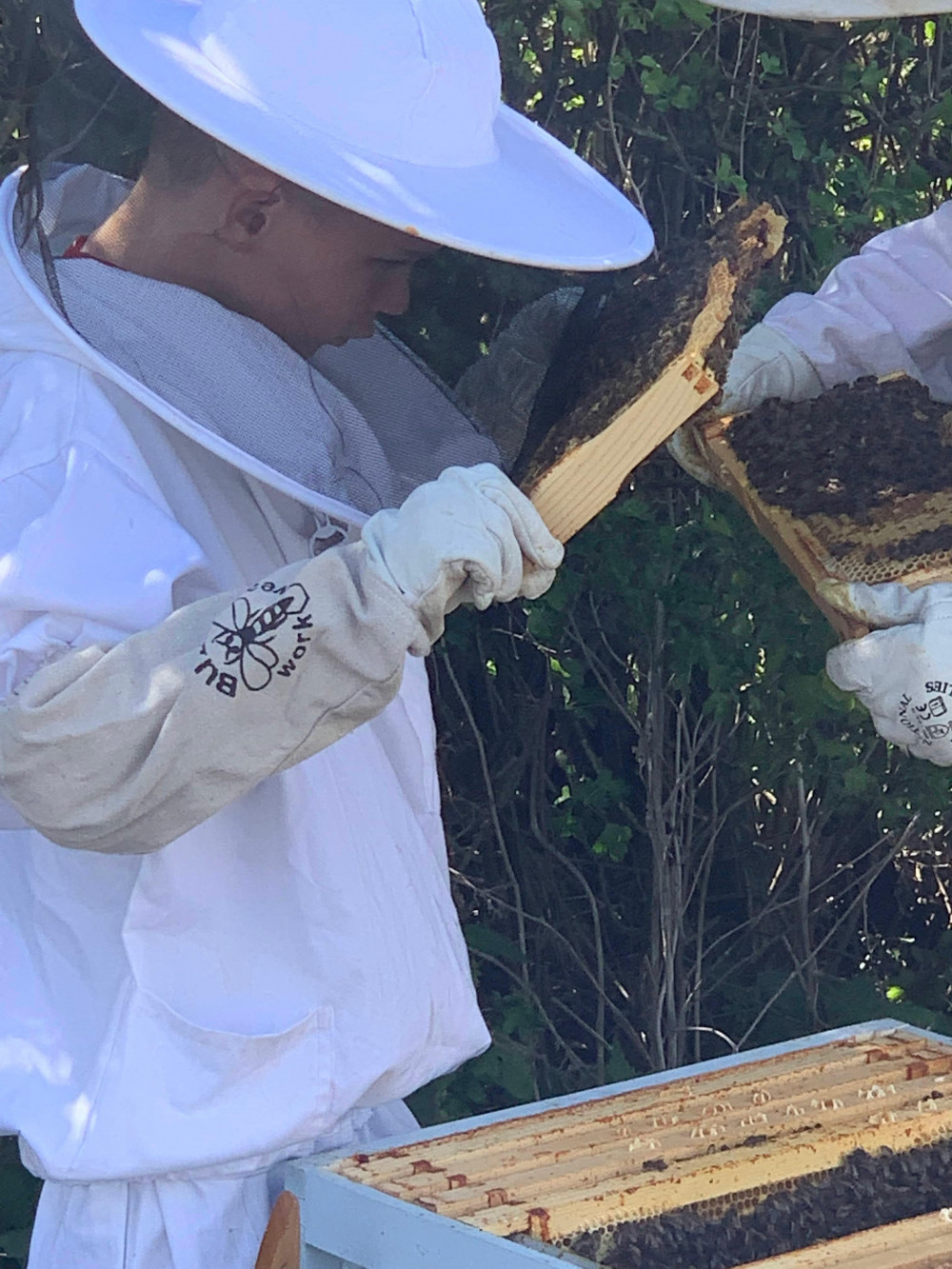 Nine-year-old bee keeper Lucca Pickles. (Photo: Lee Pickles) 