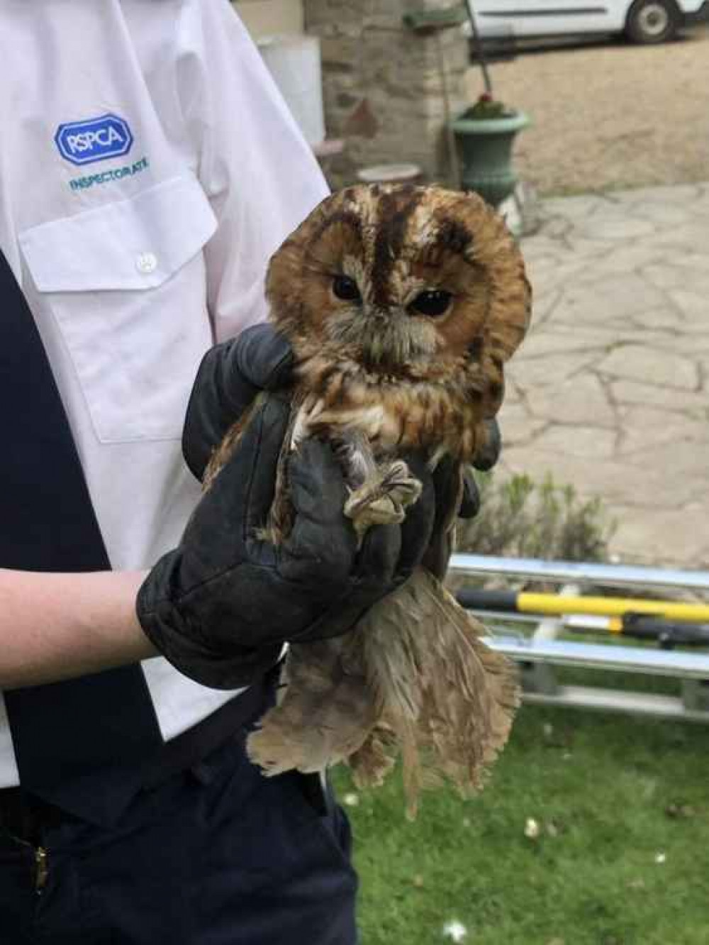 Terry was none the worse for his ordeal (Photo: Devon and Somerset Fire and Rescue Service)