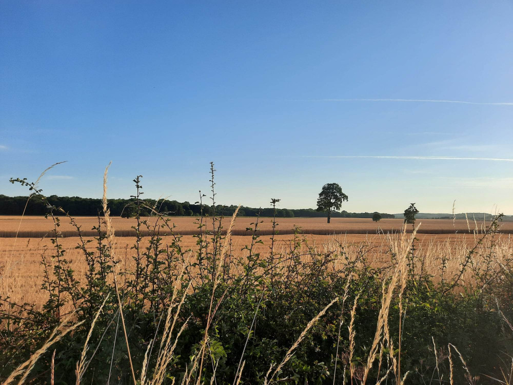 A glider has lost his life following a mid-air collision near Rutland. Image credit: Nub News. 