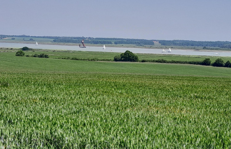 Harvest starting (Picture: Nub News)