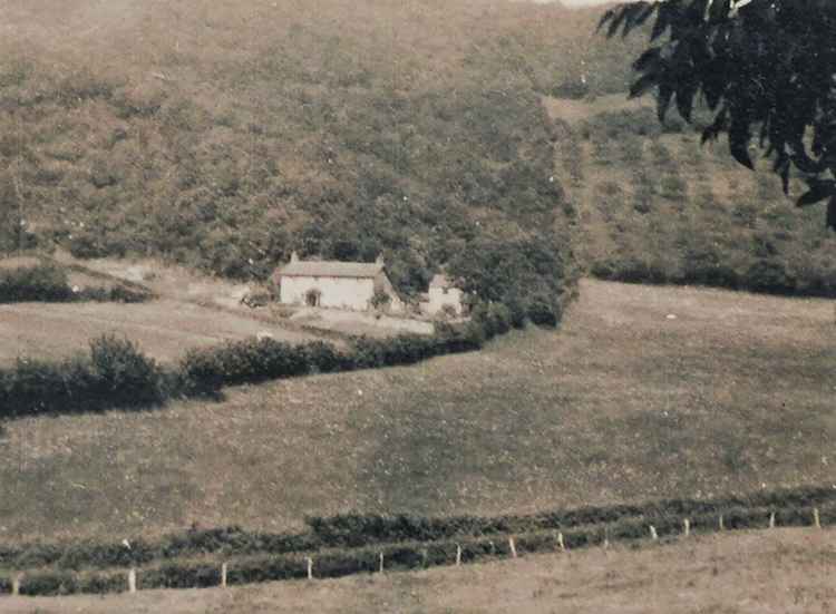 The cottage in Rodney Stoke