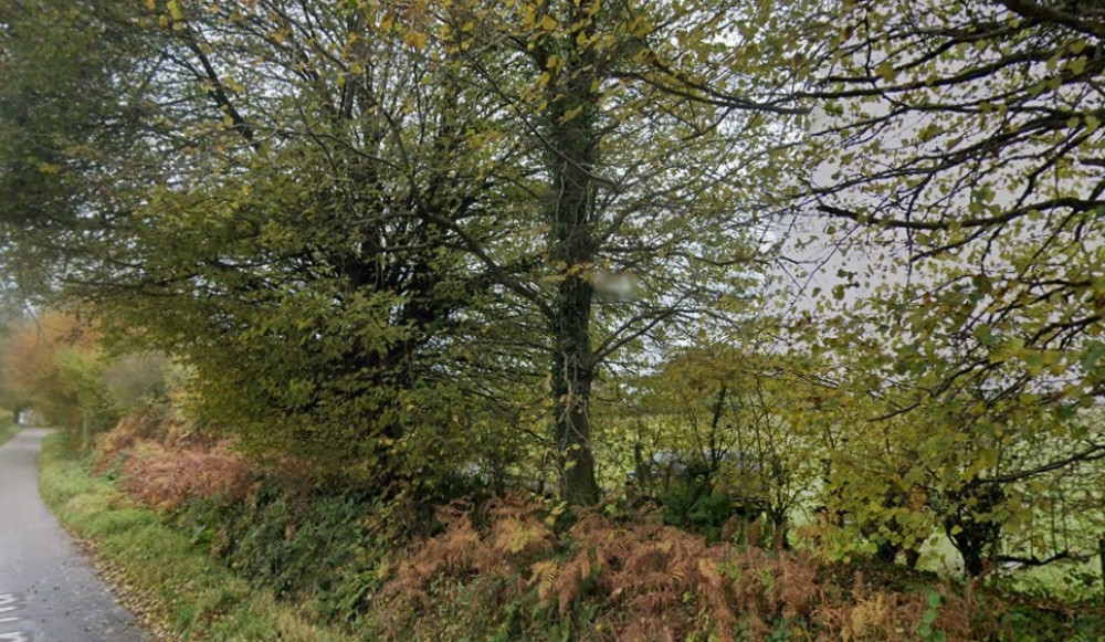 Pound Lane at Hawkchurch (Google Street View/LDRS)