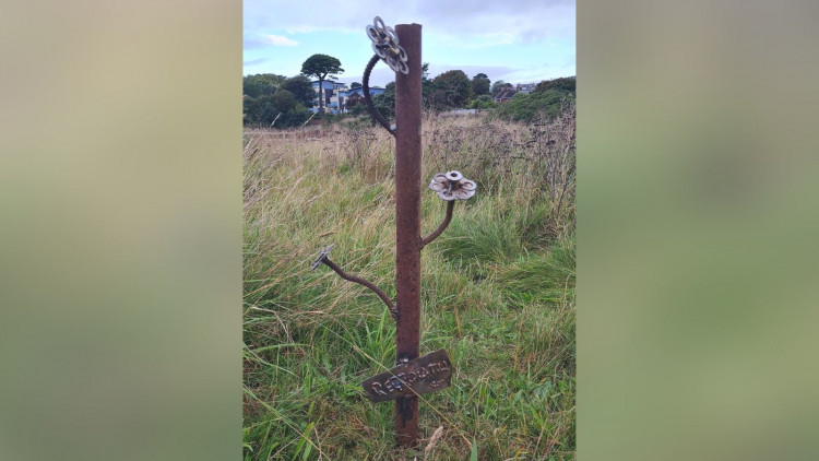 The sculpture features 'flowers' made of nuts and washers and a sign reading "regrowth" (Rusty Pole Society of Exmouth)