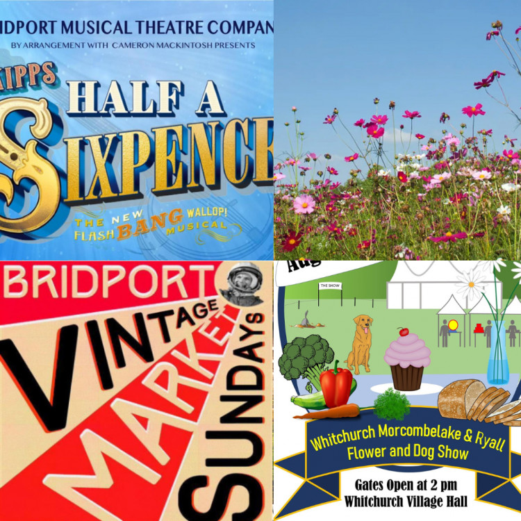 Our top pick of events in the Bridport area this weekend