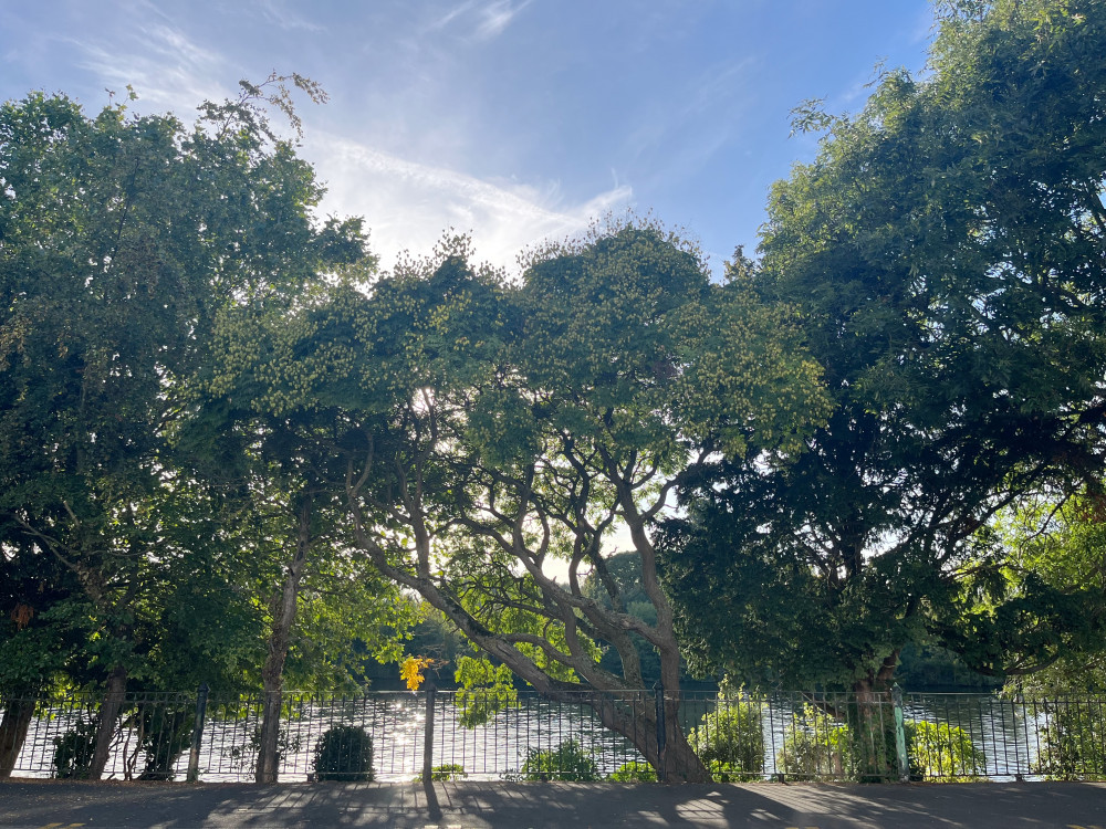 Why not have a drink and a picnic by Kingston Riverside? (Photo: Emily Dalton)