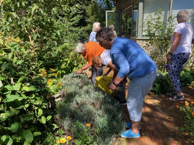  Jilly Burston, Barbara East, Carole Ballm and Kay Lawrence in the garden with Teresa Birch and Pam Staunton in the background (Winnie Cameron)