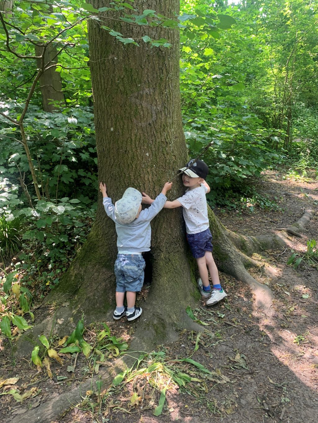 Family nature and heritage walk in the Town Park with Somer Valley Rediscovered 