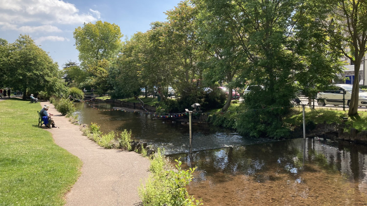 The Brook, Dawlish (Nub News/ Will Goddard)