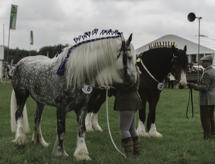 A range of horses and riders feature at the annual Defender Burghley Horse Trials. Image credit: Nub News.