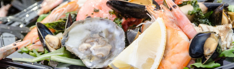 Falmouth Oyster Festival 2023 Falmouth Oyster Festival 2023