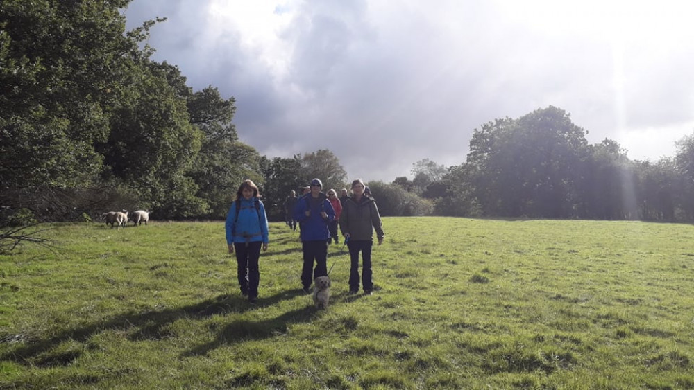 Group walking across the fields back from Prestbury at a previous festival